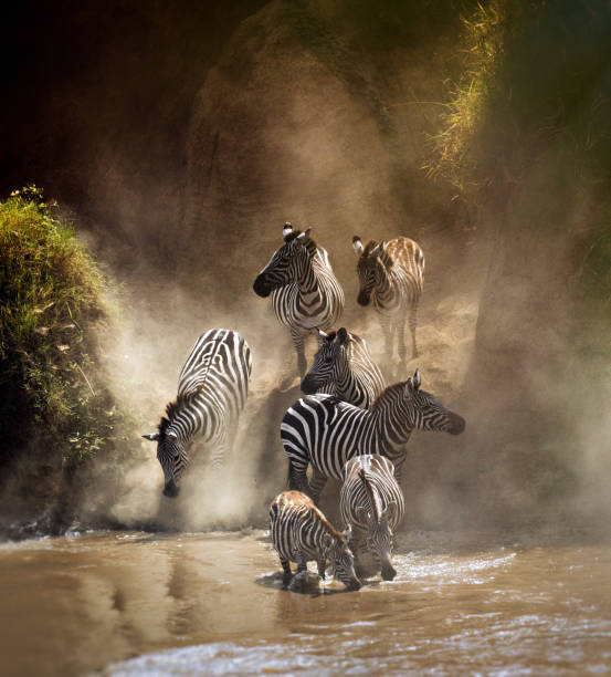 Murchison Falls