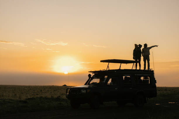 Sunset over the savannah