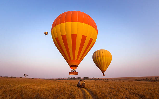 Hot air balloons over the plains