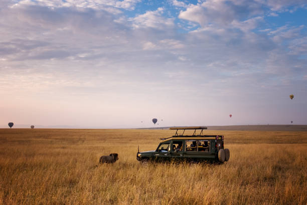 Kenya safari