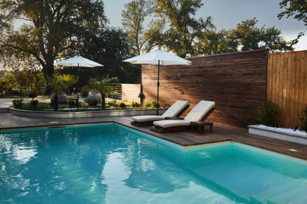 Private lodge pool surrounded by greenery
